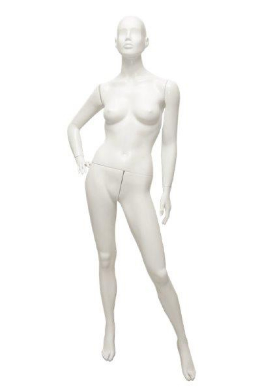 Aluguel de Manequins Femininos Cambuci - Aluguel de Manequim para Vitrine