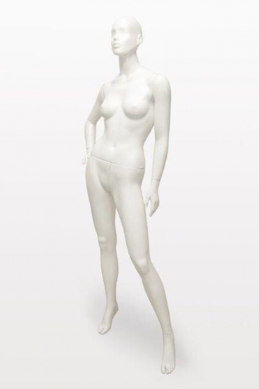 Manequins Corpo Inteiro para Loja Chácara do Piqueri - Manequim Corpo Inteiro Feminino